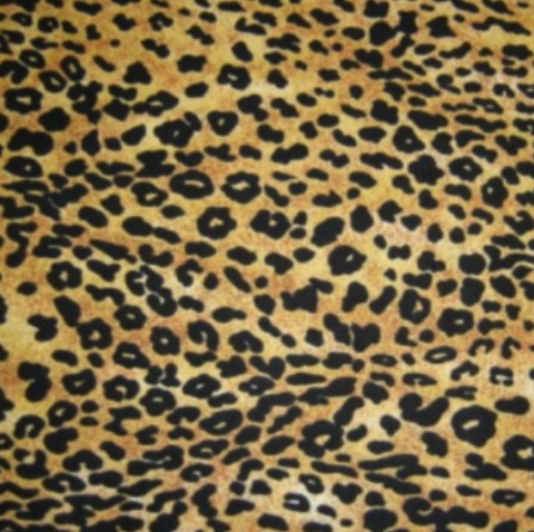 Panther